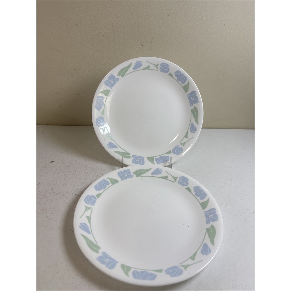 Corelle FRIENDSHIP Lunch Plates‎ 8.5" Blue Tulip Set Of 2